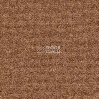 Ковролин Radici Abetone Сamoscio 4263 фото 1 | FLOORDEALER